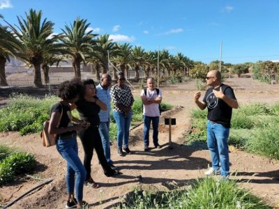 Transición Ecológica forma a técnicos de Cabo Verde en la gestión y conservación de palmerales