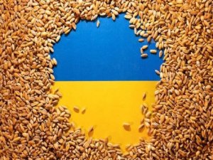 La prohibici&oacute;n temporal de Polonia de las importaciones agr&iacute;colas ucranianas demuestra que el acuerdo de cereales es una estafa