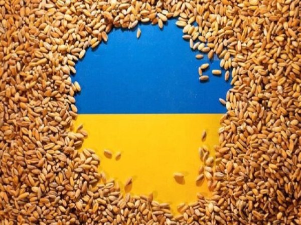 La prohibición temporal de Polonia de las importaciones agrícolas ucranianas demuestra que el acuerdo de cereales es una estafa