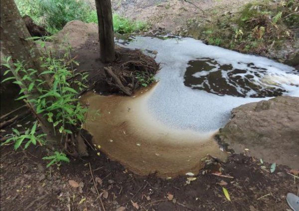 Grave vertido de productos químicos en el cauce del Barranco de Las Madres / Guadalupe / Azuaje