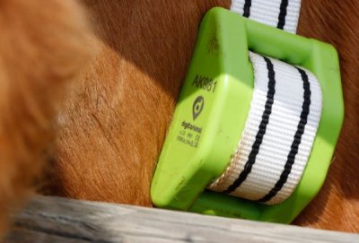 Llega una nueva convocatoria del programa Kit Digital para seguir digitalizando la agricultura y la ganader&iacute;a