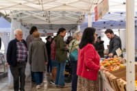 El Mercado Agr&iacute;cola de G&aacute;ldar arranca 2026 con sabor, talento y formaci&oacute;n