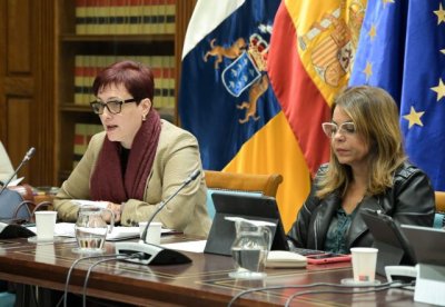 Bienestar Social inicia un &ldquo;intenso proceso&rdquo; de encuentros para reformar la Ley de Voluntariado