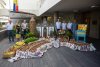 La carreta del Cabildo portar&aacute; en la popular Romer&iacute;a-Ofrenda del Pino m&aacute;s de una tonelada de productos
