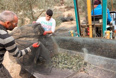 UPA: &ldquo;La crisis clim&aacute;tica volvi&oacute; a marcar el a&ntilde;o agrario 2023 en el campo espa&ntilde;ol&rdquo;